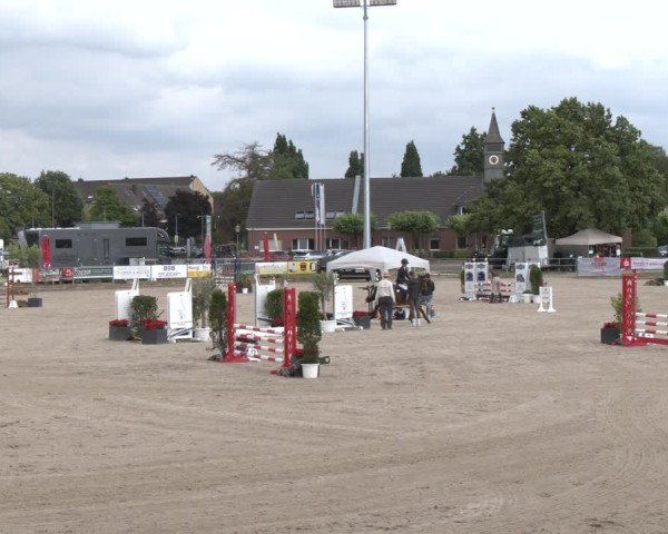 Reitturnier Langenfeld 2025