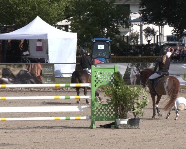 Reitturnier Langenfeld 2025