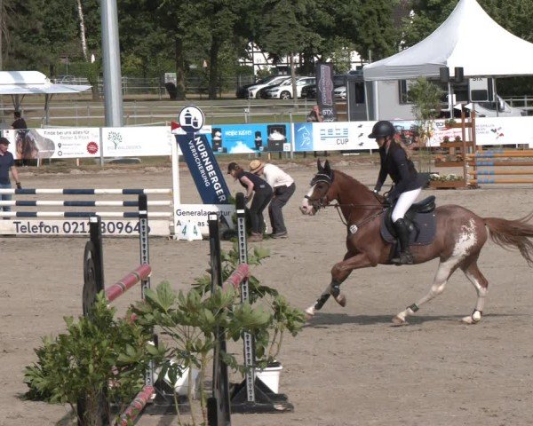 Reitturnier Langenfeld 2025