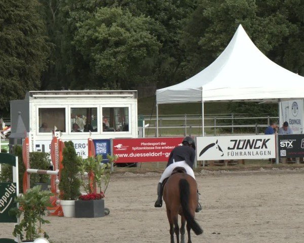 Reitturnier Langenfeld 2025