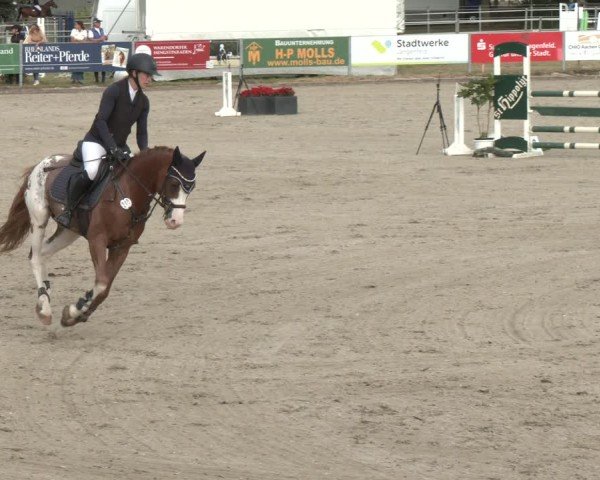 Reitturnier Langenfeld 2025