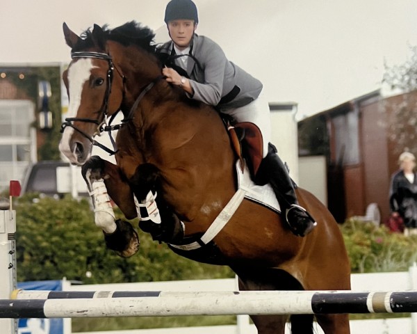 horse Pirelli 4 (Westphalian, 1990, from Pilot)