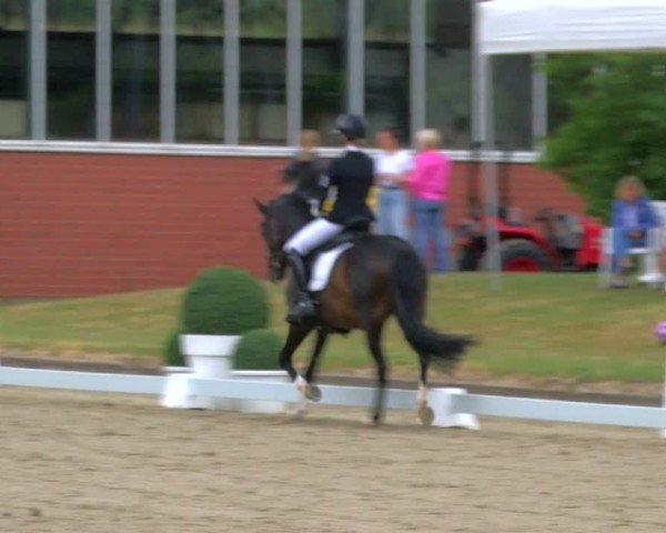 Reitturnier Langenfeld 2025
