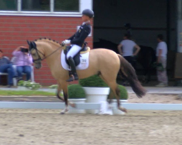 Reitturnier Langenfeld 2025