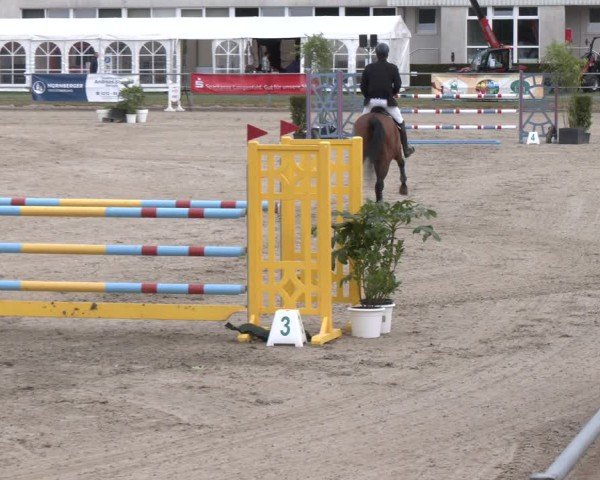 Reitturnier Langenfeld 2025