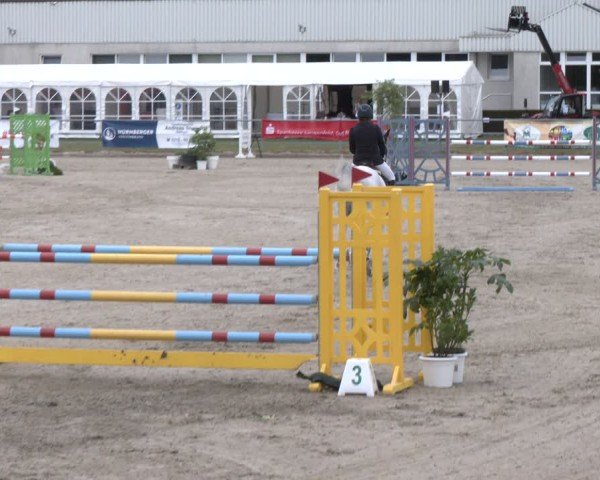 Reitturnier Langenfeld 2025