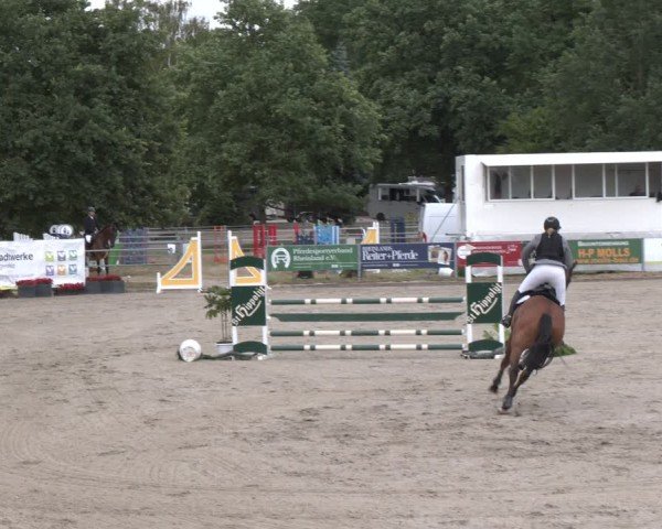 Reitturnier Langenfeld 2025