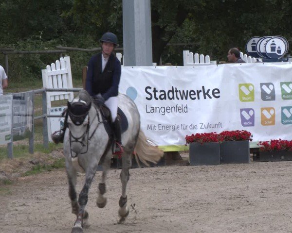 Reitturnier Langenfeld 2025