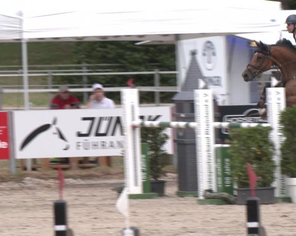 Reitturnier Langenfeld 2025