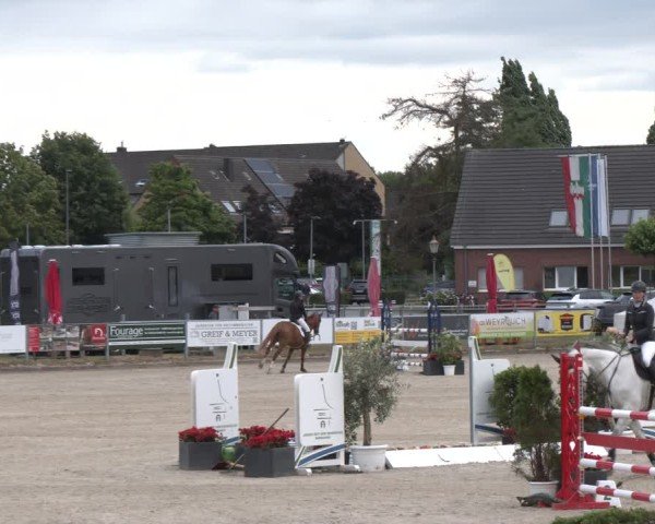Reitturnier Langenfeld 2025