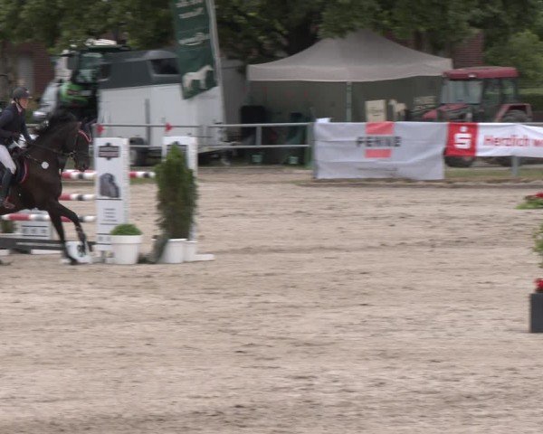 Reitturnier Langenfeld 2025
