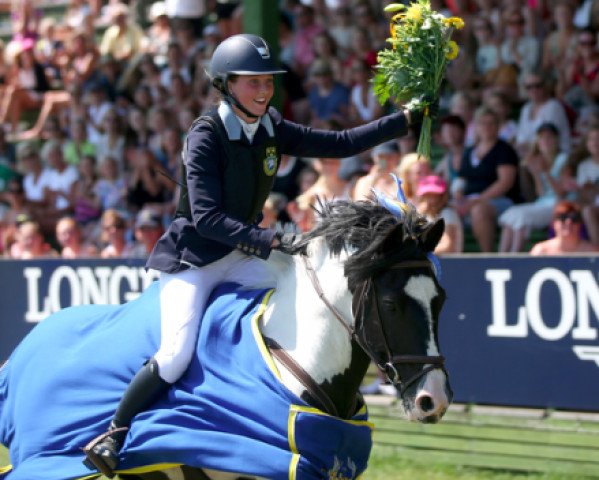 jumper Munsboro Mourinho (Irish Sport Horse, 2004, from Poldy)