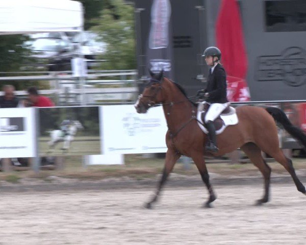 Reitturnier Langenfeld 2025