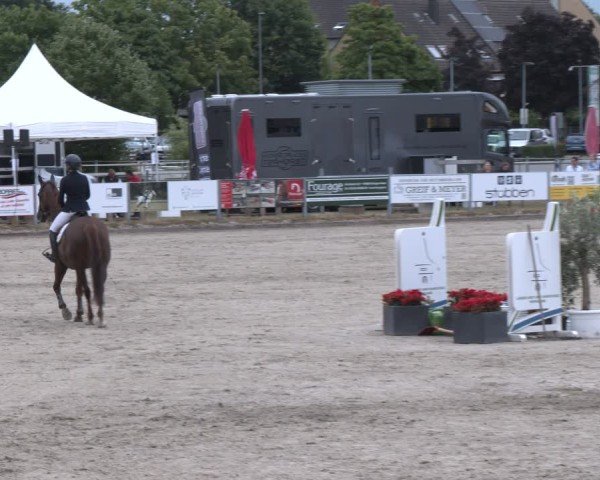 Reitturnier Langenfeld 2025