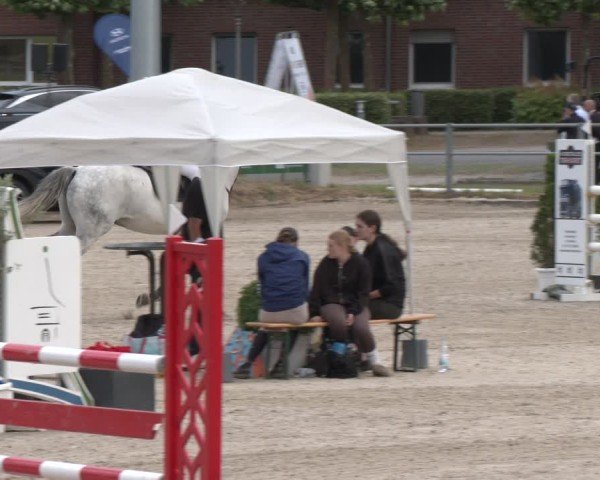 Reitturnier Langenfeld 2025