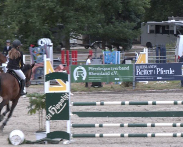 Reitturnier Langenfeld 2025