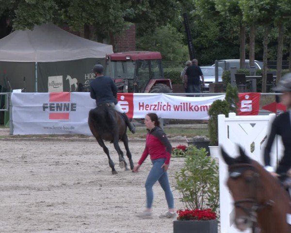 Reitturnier Langenfeld 2025