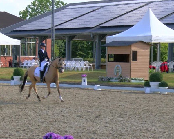 Reitturnier Langenfeld 2025