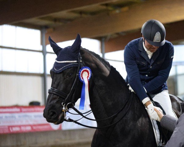 dressage horse Filinara (Oldenburg, 2016, from Fürsten-Look)