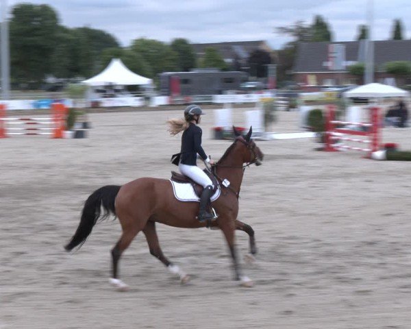 Reitturnier Langenfeld 2025