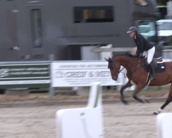 Reitturnier Langenfeld 2025