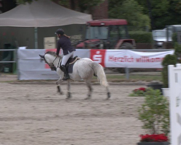 Reitturnier Langenfeld 2025