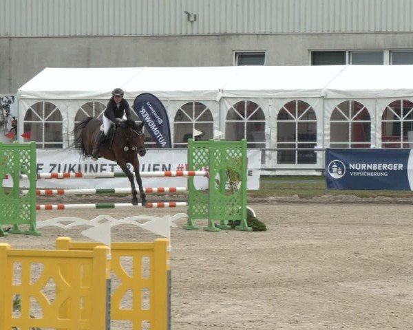 Reitturnier Langenfeld 2025