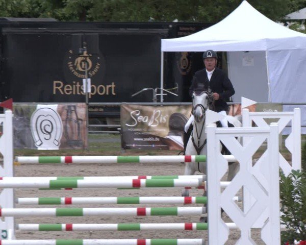 Reitturnier Langenfeld 2025