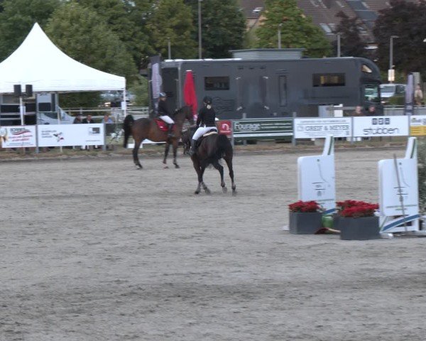 Reitturnier Langenfeld 2025
