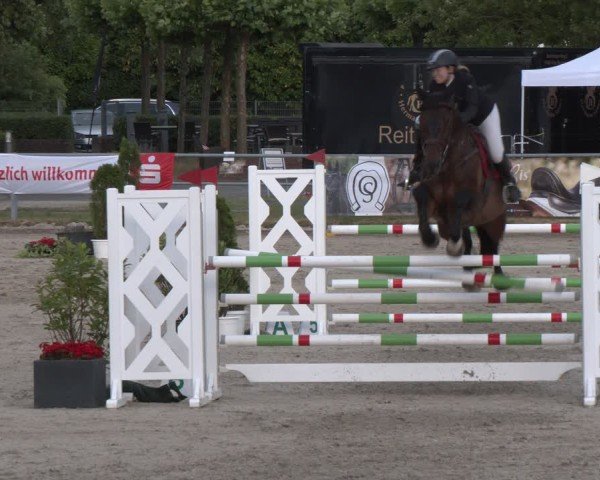 Reitturnier Langenfeld 2025