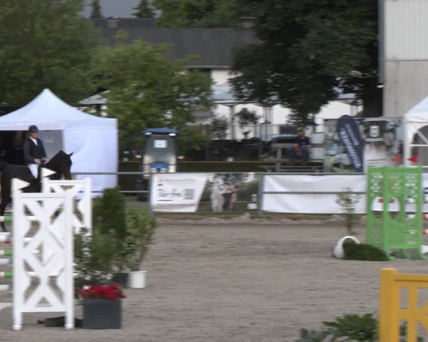 Reitturnier Langenfeld 2025