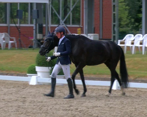 Reitturnier Langenfeld 2025