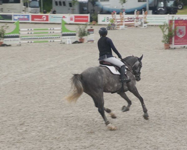 Reitturnier Babenhausen/Schw. 2025