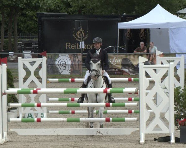 Reitturnier Langenfeld 2025