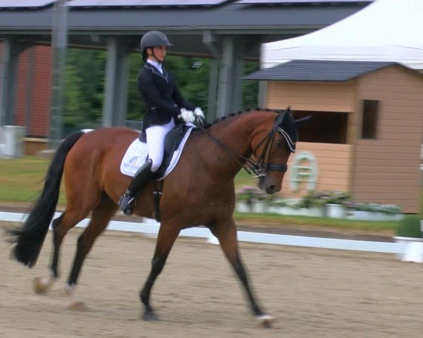 Reitturnier Langenfeld 2025