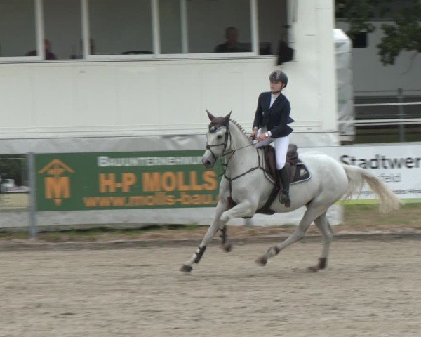Reitturnier Langenfeld 2025