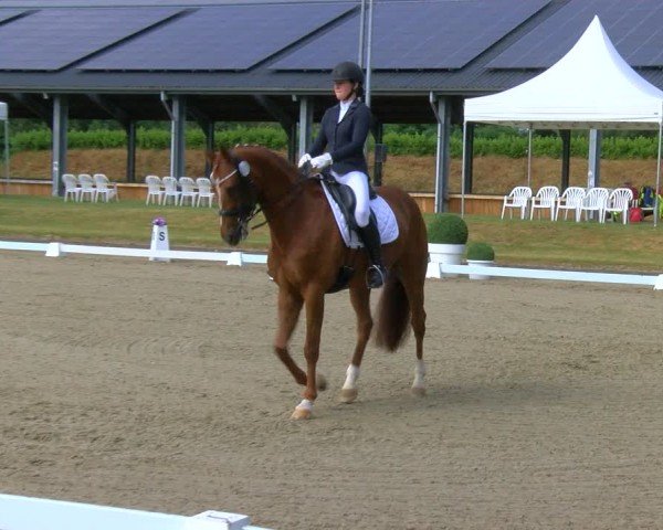 Reitturnier Langenfeld 2025