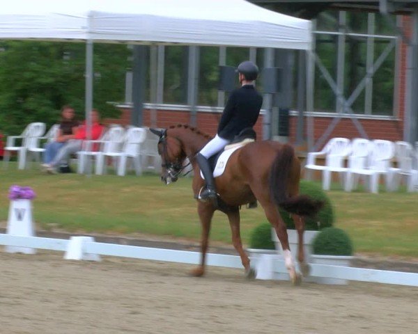 Reitturnier Langenfeld 2025
