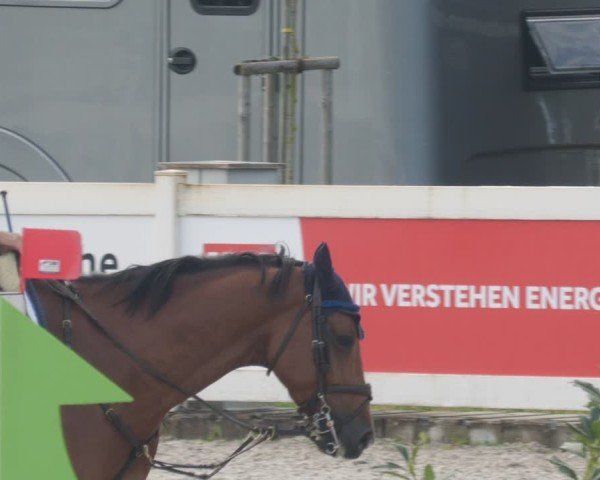 Reitturnier Babenhausen/Schw. 2025