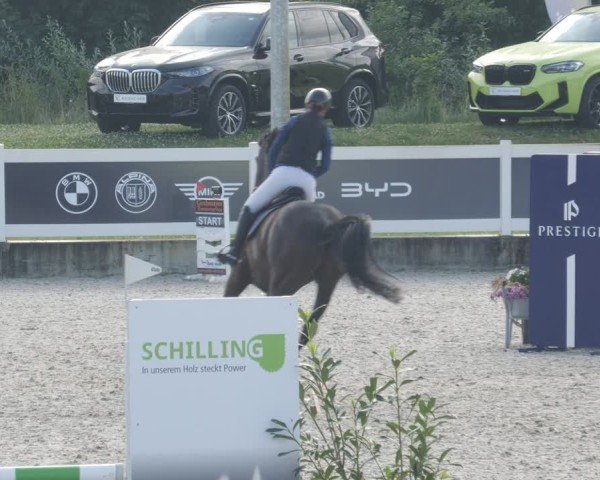 Reitturnier Babenhausen/Schw. 2025
