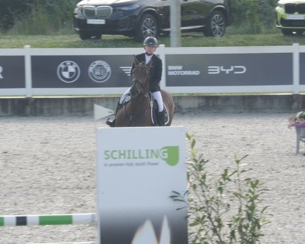 Reitturnier Babenhausen/Schw. 2025