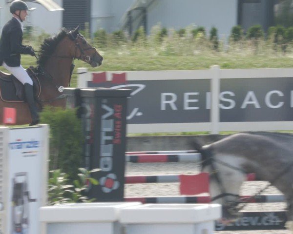 Reitturnier Babenhausen/Schw. 2025