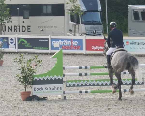 Reitturnier Babenhausen/Schw. 2025