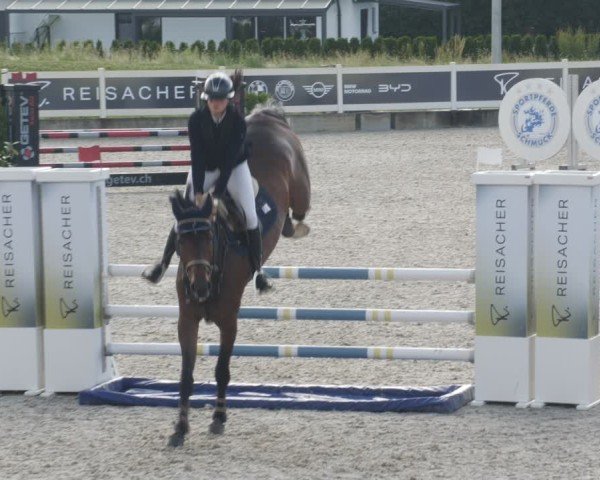Reitturnier Babenhausen/Schw. 2025