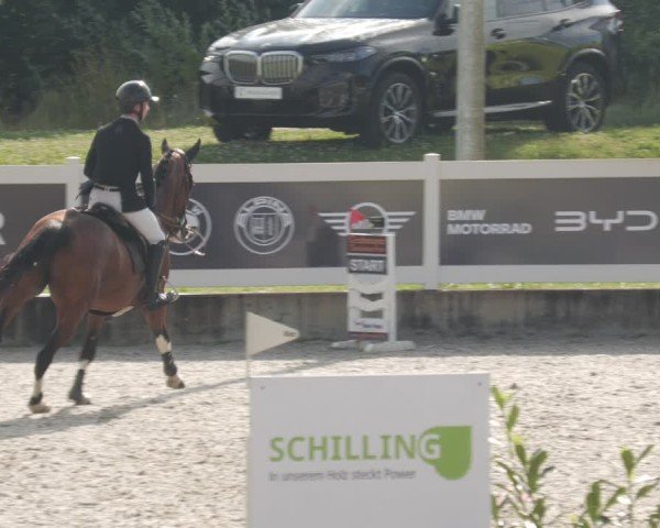 Reitturnier Babenhausen/Schw. 2025