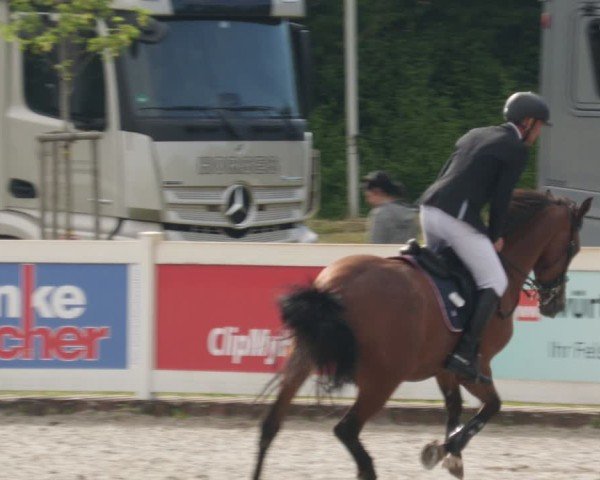 Reitturnier Babenhausen/Schw. 2025