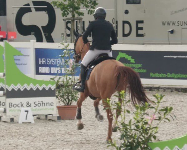 Reitturnier Babenhausen/Schw. 2025