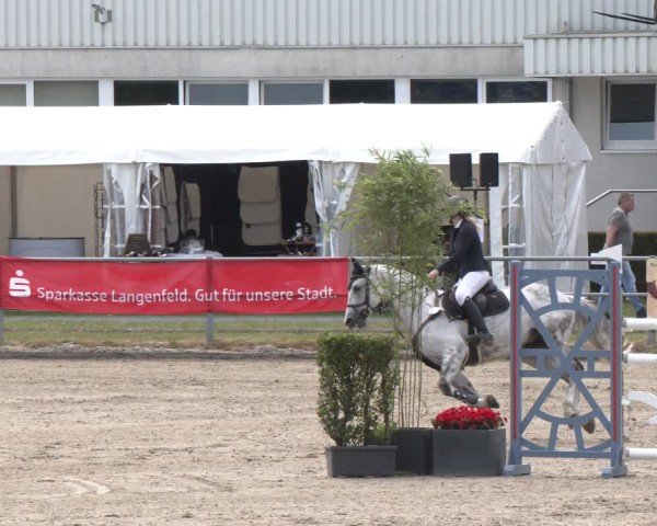 Reitturnier Langenfeld 2025