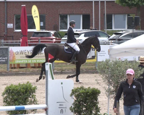 Reitturnier Langenfeld 2025