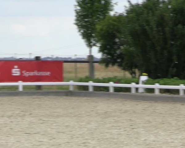 Reitturnier Dresden Gompitz 2025
